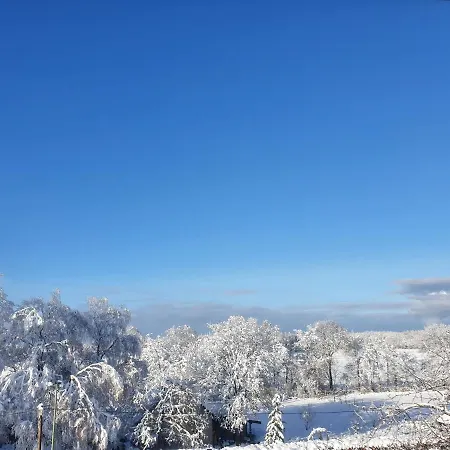 Energetischer Urlaub In Der Eifel Germeter Eksteriør billede