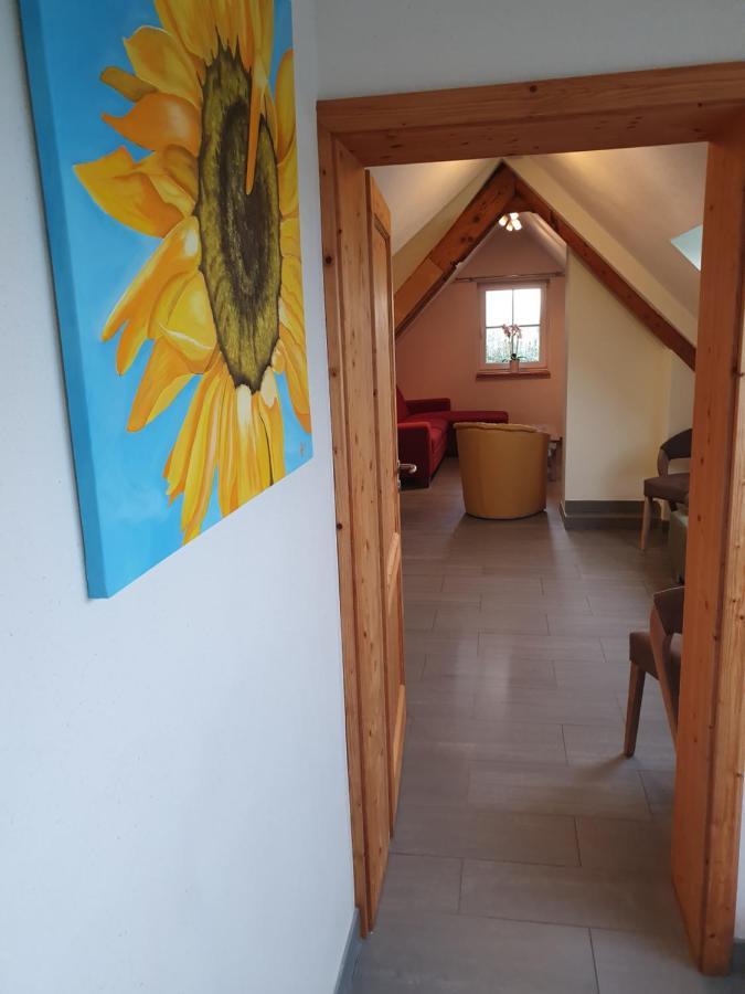 Apartment Energetischer Urlaub In Der Eifel